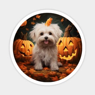 Maltese Halloween Magnet